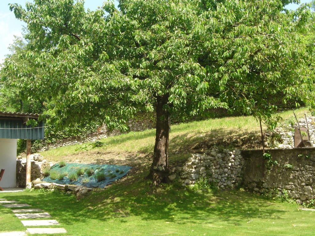 Апартаменти Cote Jardin Сен-Жан-ан-Руаян Екстер'єр фото